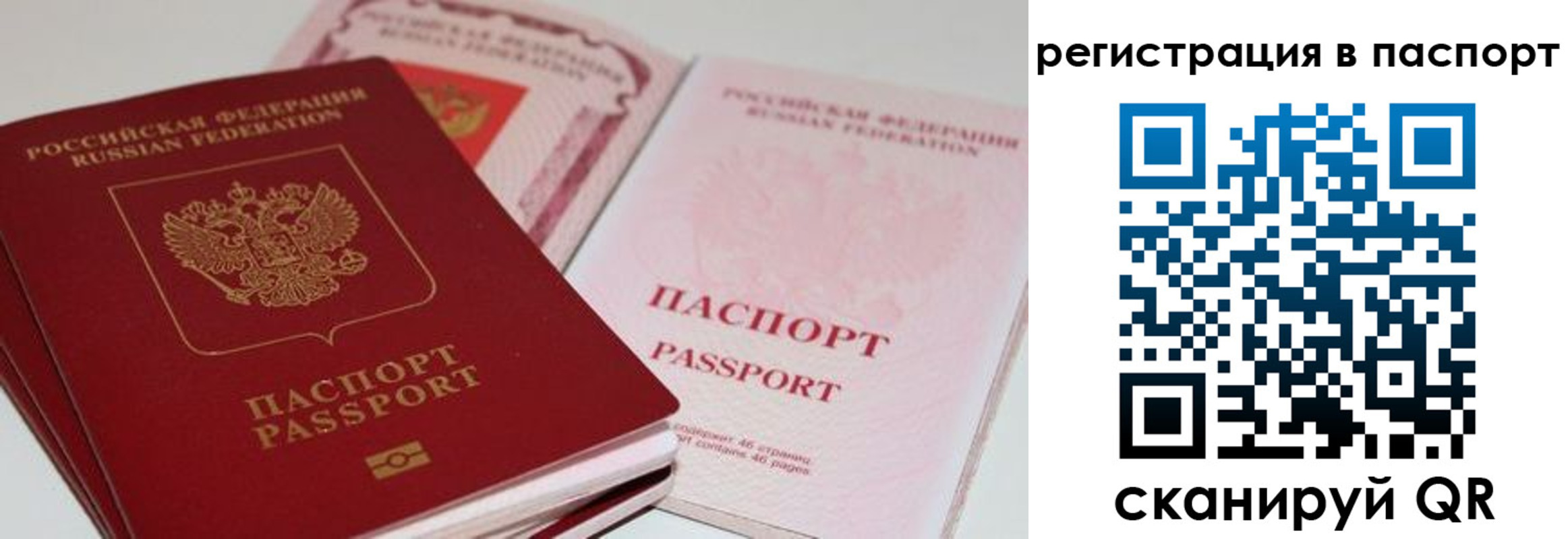 найти адрес прописки в Ивантеевке
